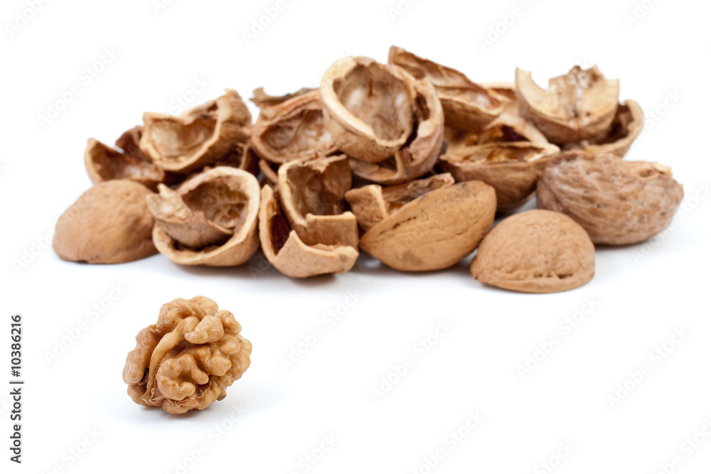 Some nutshells and walnut kernel isolated on the white Some nutshells and walnut kernel isolated on the white