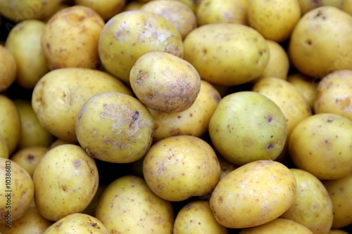 urban market potatoes
