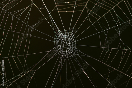 Close up of glistening cobweb over dark background.