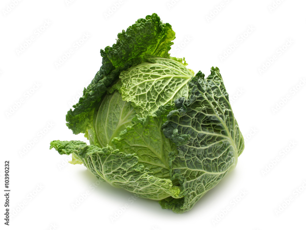 Savoy Cabbage Savoy Cabbage