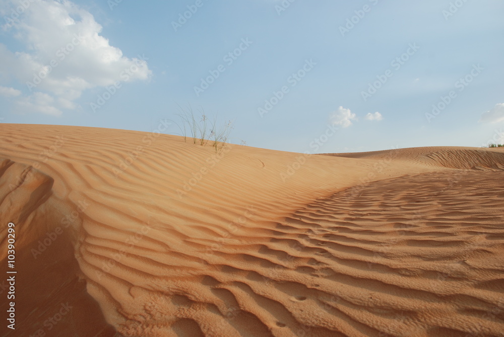 Naklejka premium Desert And Sky