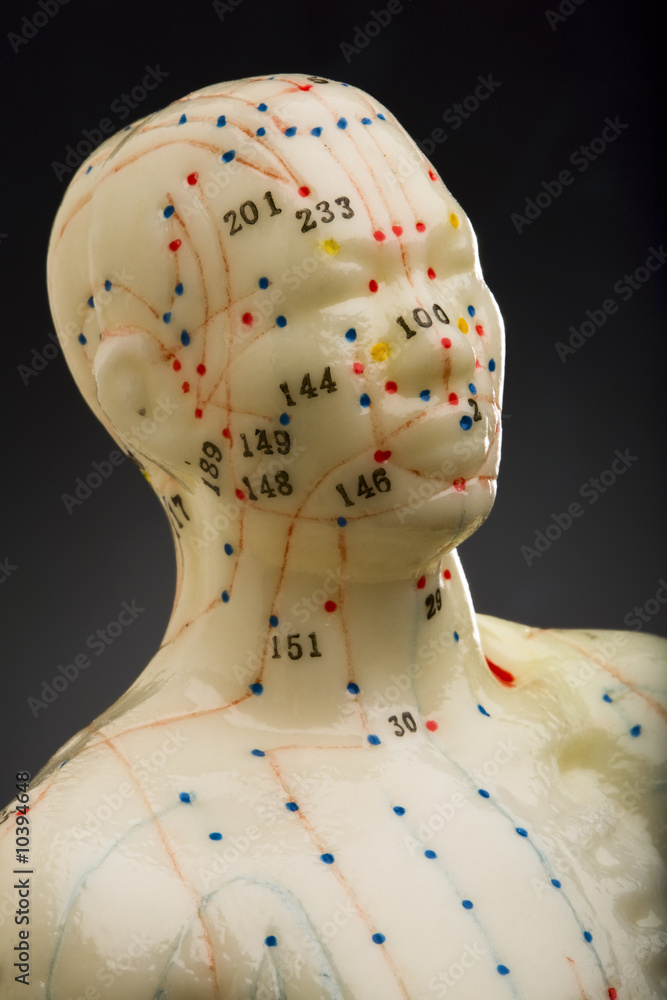 Close-up of mannequins head used for acupuncture