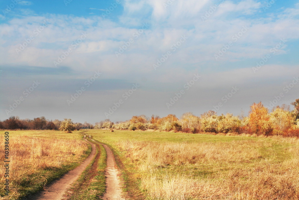 Fototapeta premium Road in mountains meadow