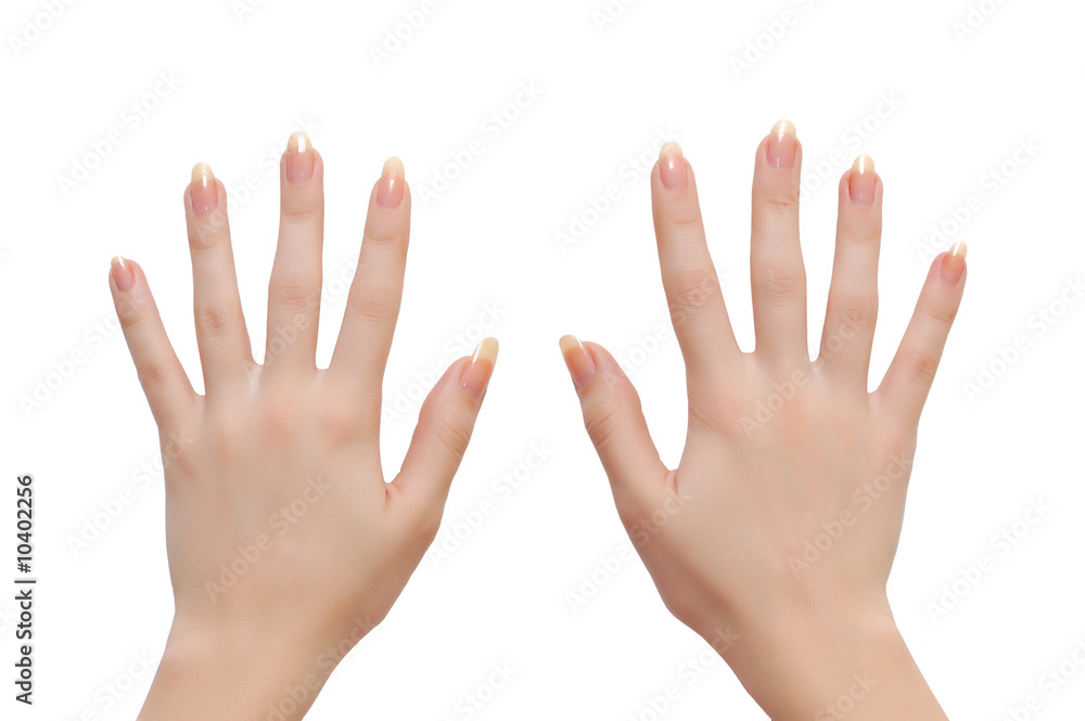 Woman hands isolated on white background Woman hands isolated on white background