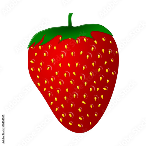 erdbeere