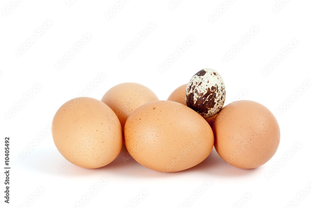 Some chicken eggs and one quail egg isolated on the white Some chicken eggs and one quail egg isolated on the white