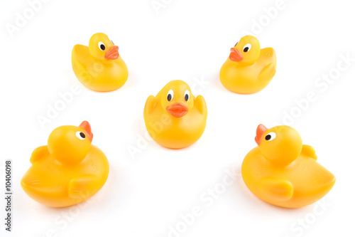 Four juvenile rubber ducks surround a lone individual © Steve Smith