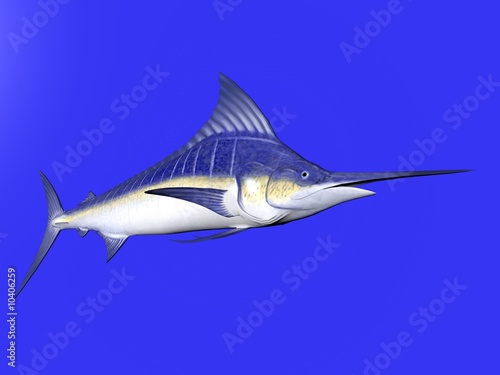 3D illustration of a marlin isolated over blue