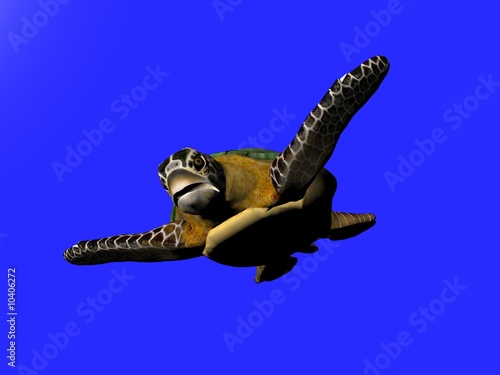 3D illustration of a great sea turtle isolated