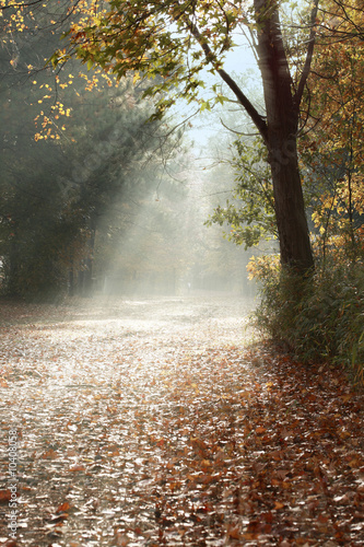 a picture of sunlight falling on trail during fall © Glen Jones