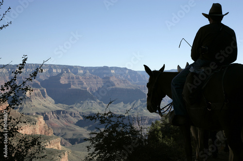 Silhouette of a mule rider at the Grand Canyon