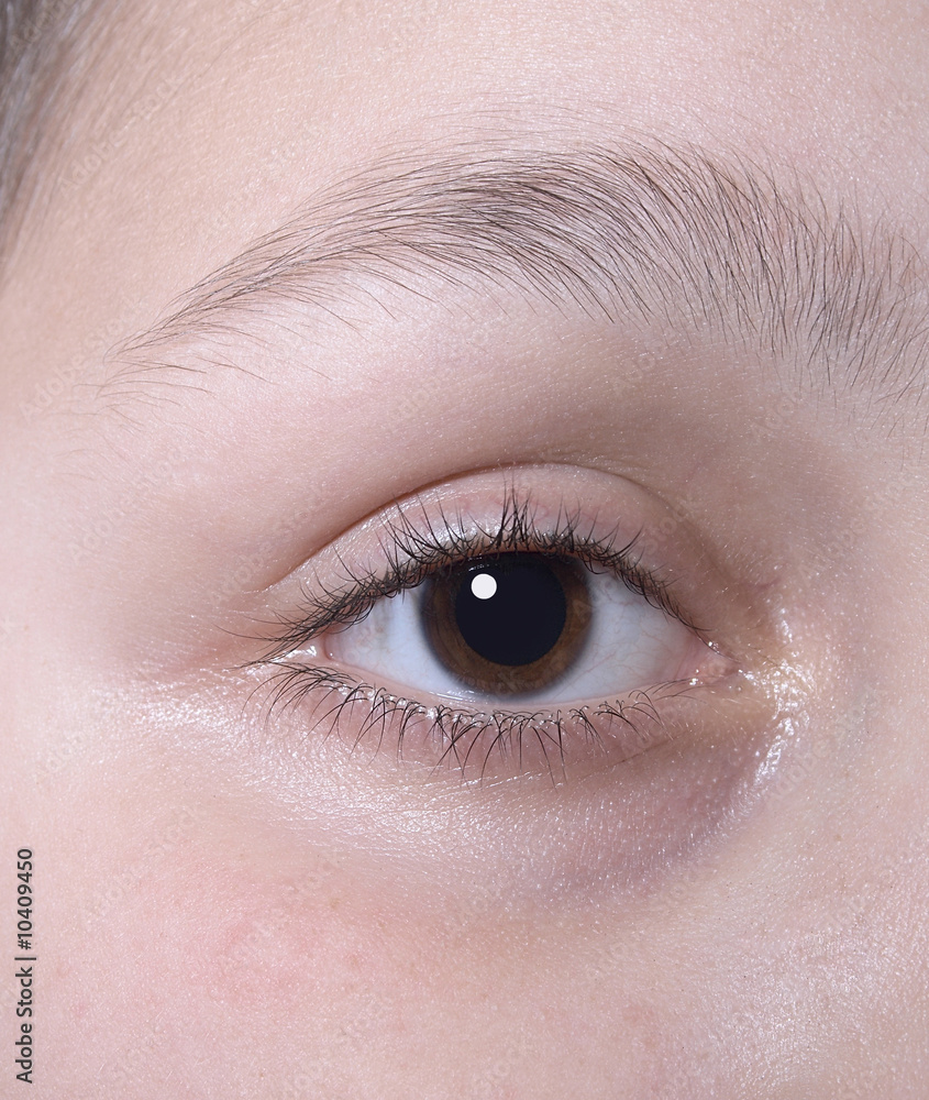 Human eye closeup anatomy