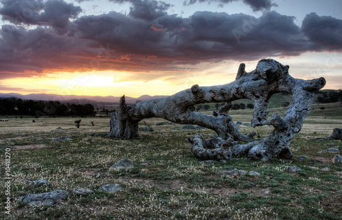 Sunset landscape in Canberra, the capital of Australia photo