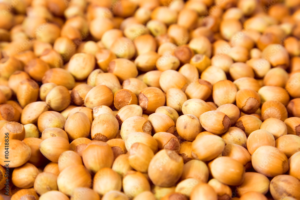 Hazelnut closeup. Texture or background. Hazelnut closeup. Texture or background.