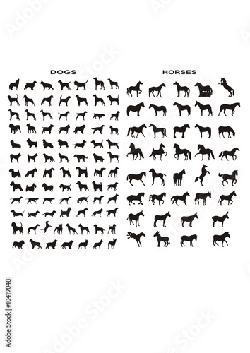 vector silhouettes of dogs and horses - useful collection