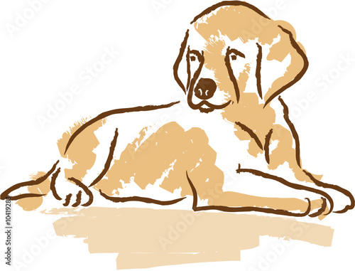 Hund