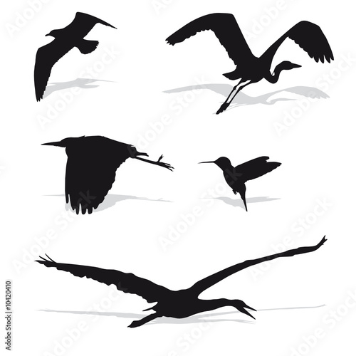 Mixed Bird Silhouettes