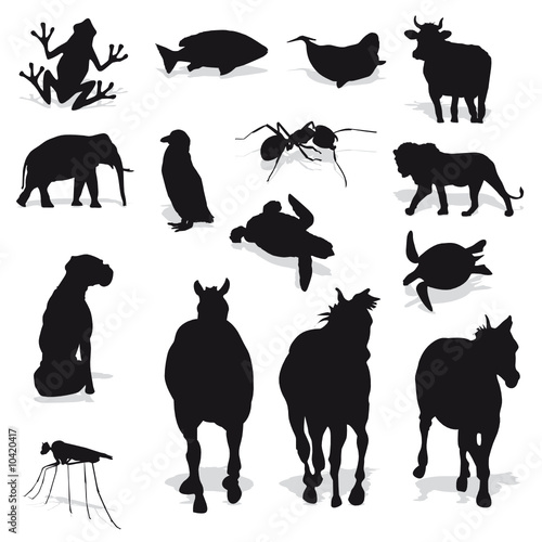 Different Animal Silhouettes