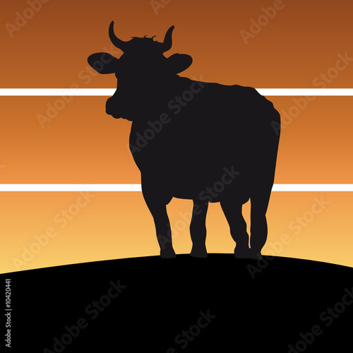 dreamy cow silhouette standing on an hill with sunrise