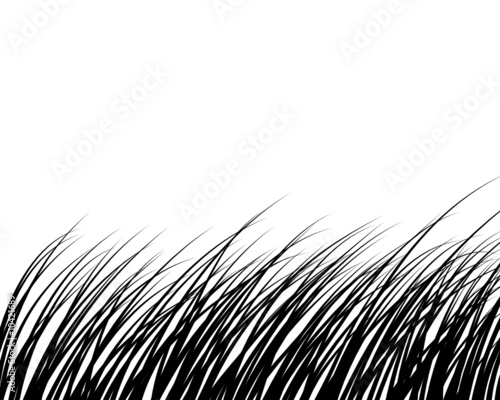 grass