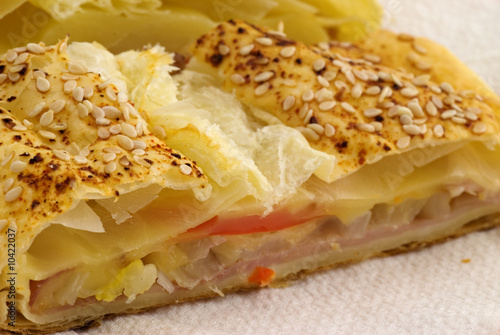 Salty ham strudel with sesame,cheese and vegetables
