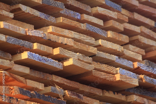 Slika na platnu planches