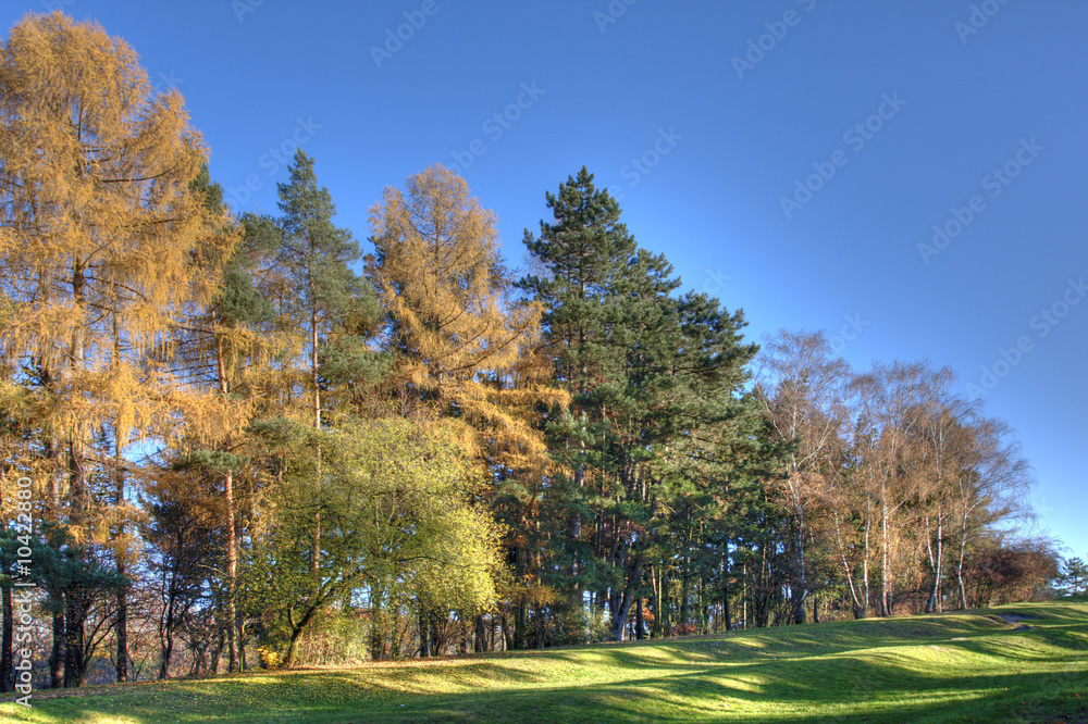 Colors of autumn in the park