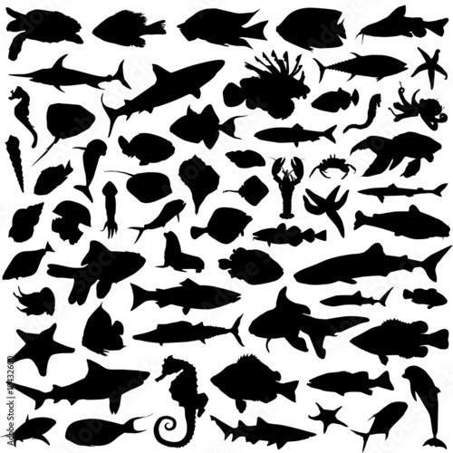 sea animals vector