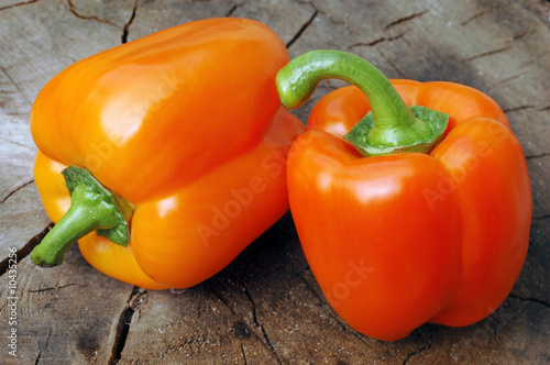 Tela sweet (Bulgarian) pepper