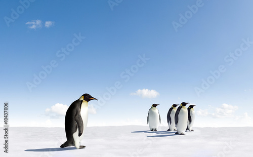 Five Emperor Penguins in Antarctica