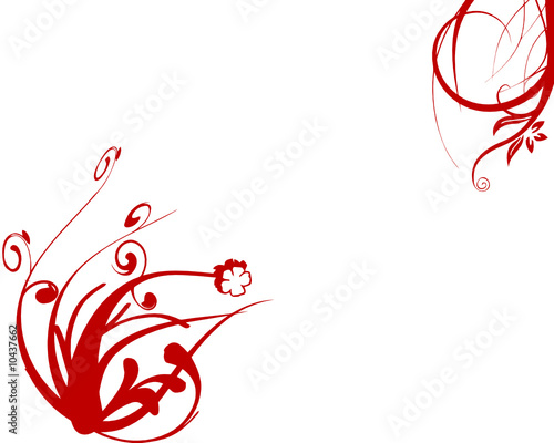 FOND FLORAL ROUGE