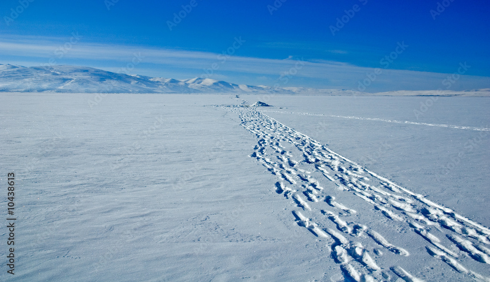 Obraz premium Footprints toward ice fishing holes on frozen lake