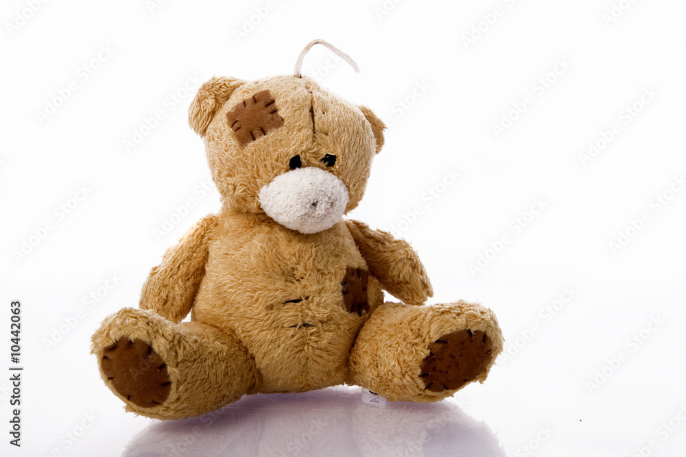 Fototapeta premium teddy bear