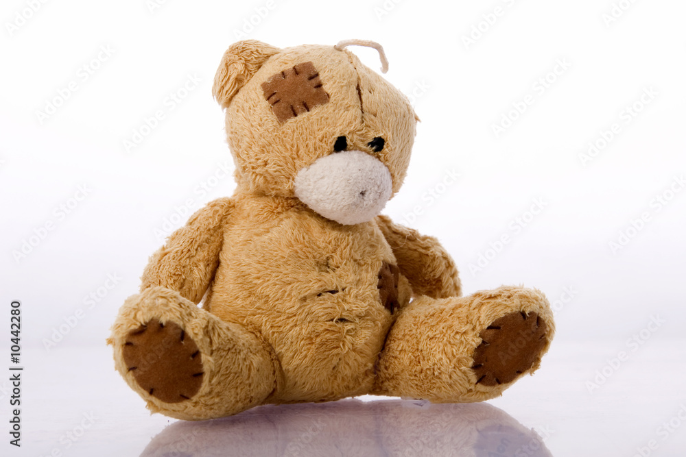 Obraz premium Teddy bear