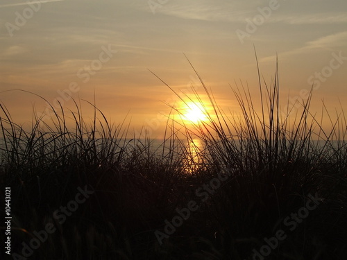 Sunset in the dunes