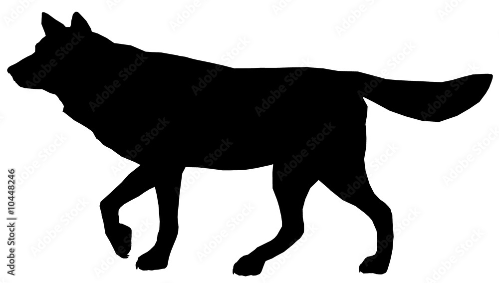 Fototapeta premium Wolf102
