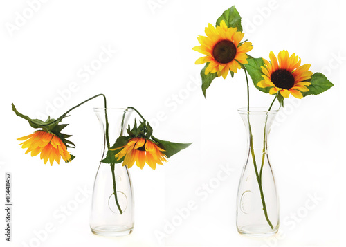 Fototapeta Naklejka Na Ścianę i Meble -  Prima e dopo!