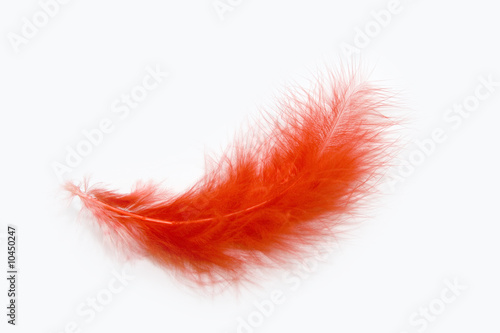 red feather