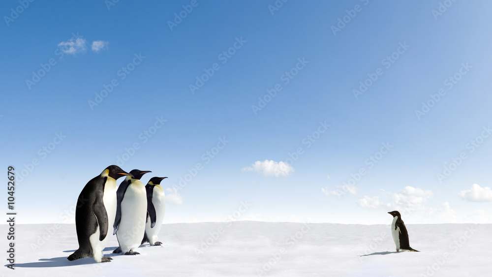 Obraz premium Pingwiny cesarskie spotykają Pingwin Adeli na Antarktydzie