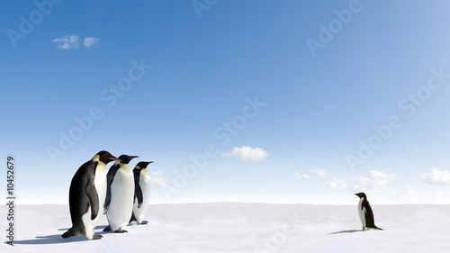 Emperor Penguins meeting Adelie Penguin in Antarctica