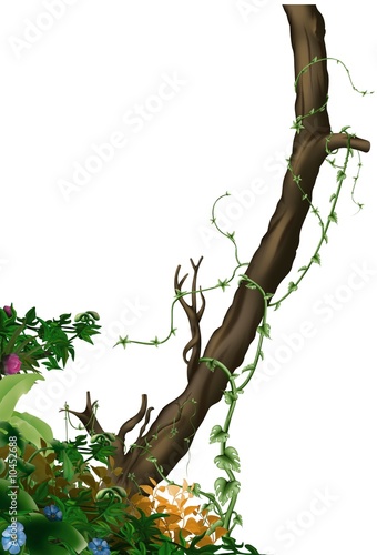 Obraz na plátně Jungle vegetation 3 - tropical plants as hand drawn background