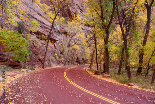 Red paved, leaf covered Zion Canyon Road in fall photo