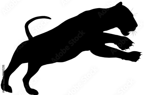 Foto Lioness104