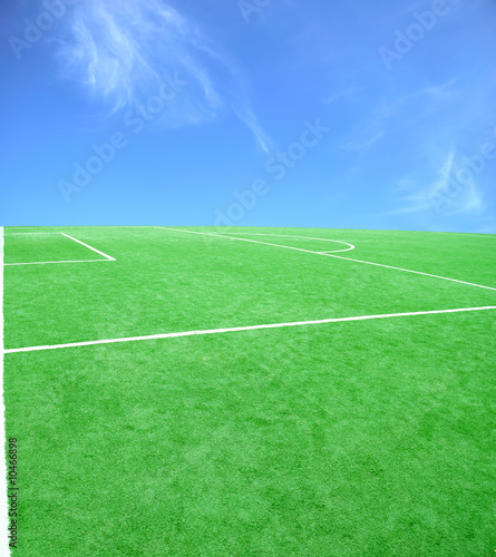 football grass background in light and shadow © Oleksii Sergieiev