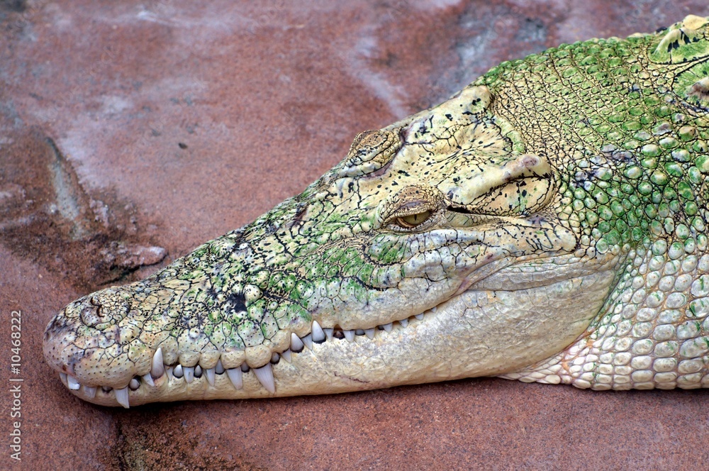 Fototapeta premium Processed by: Helicon Filter;