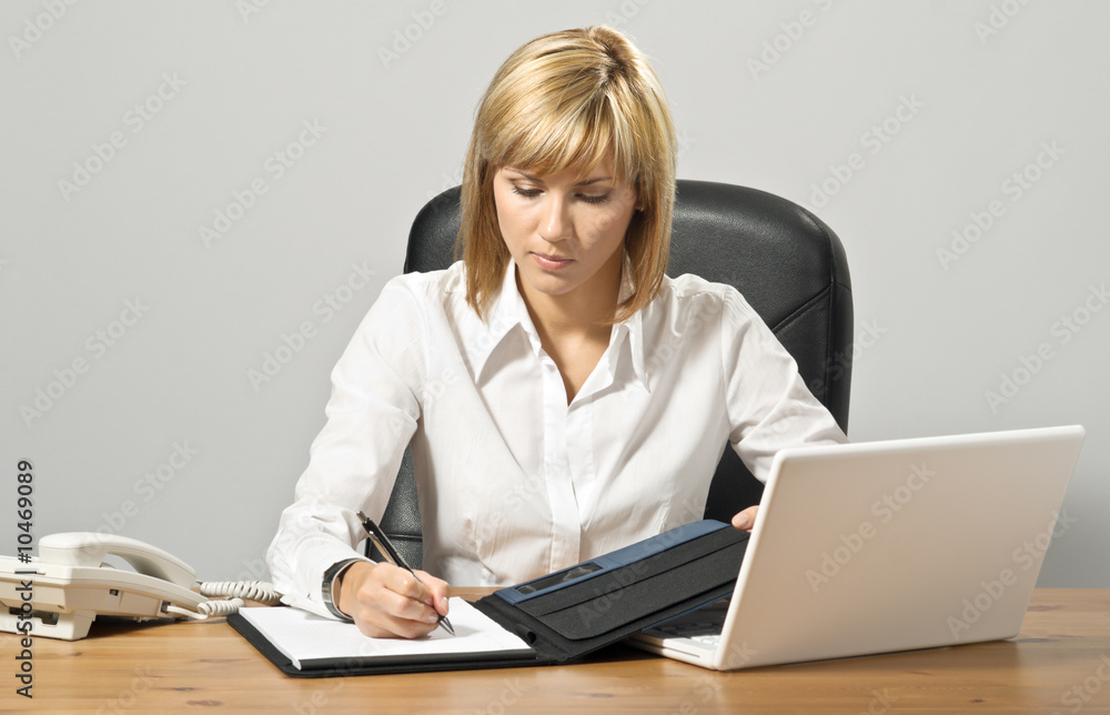 Young beautiful business lady at a table with a laptop. Young beautiful business lady at a table with a laptop.