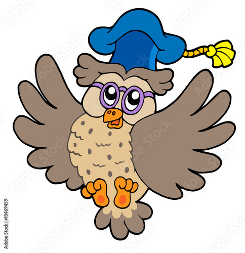 Flying owl teacher