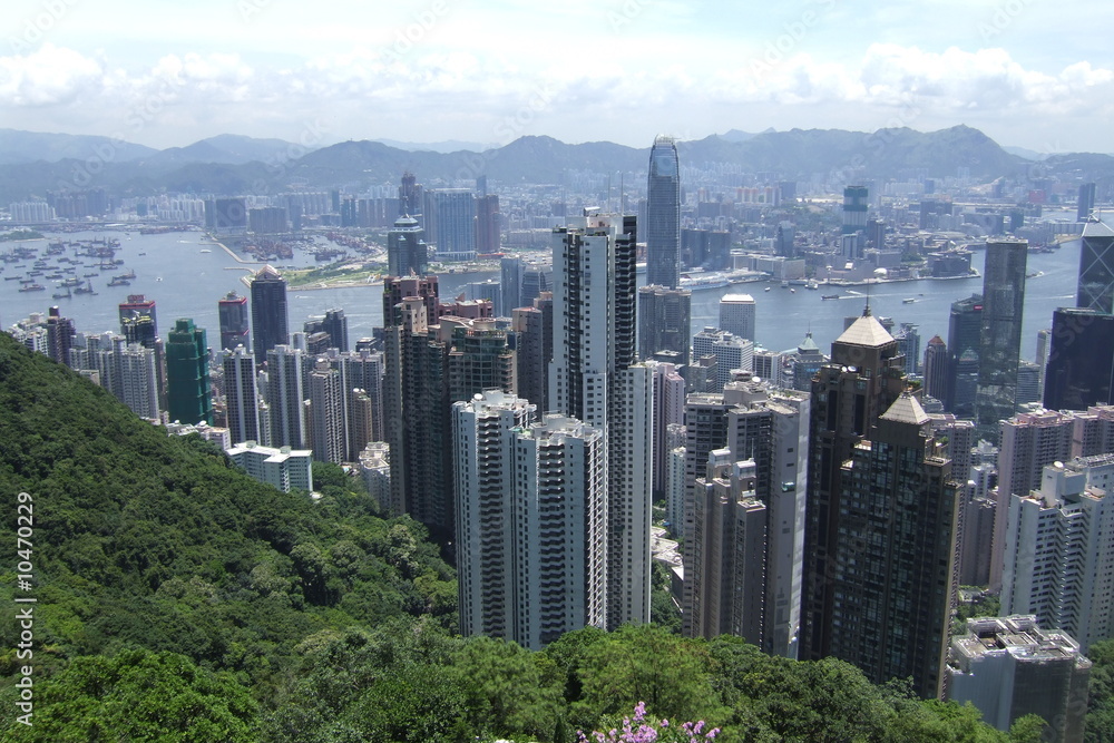 Fototapeta premium Hong kong from Victoria Peak