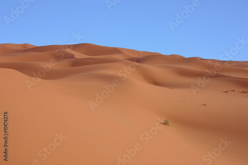 dunes rose et ciel bleu