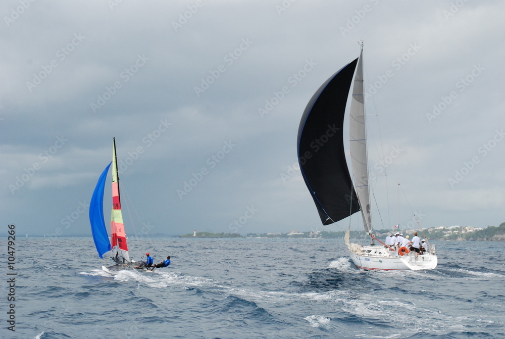 Naklejka premium sous spli noir 2